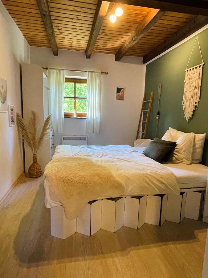 Regeneration Bayerischer Wald Ferienhaus Regen