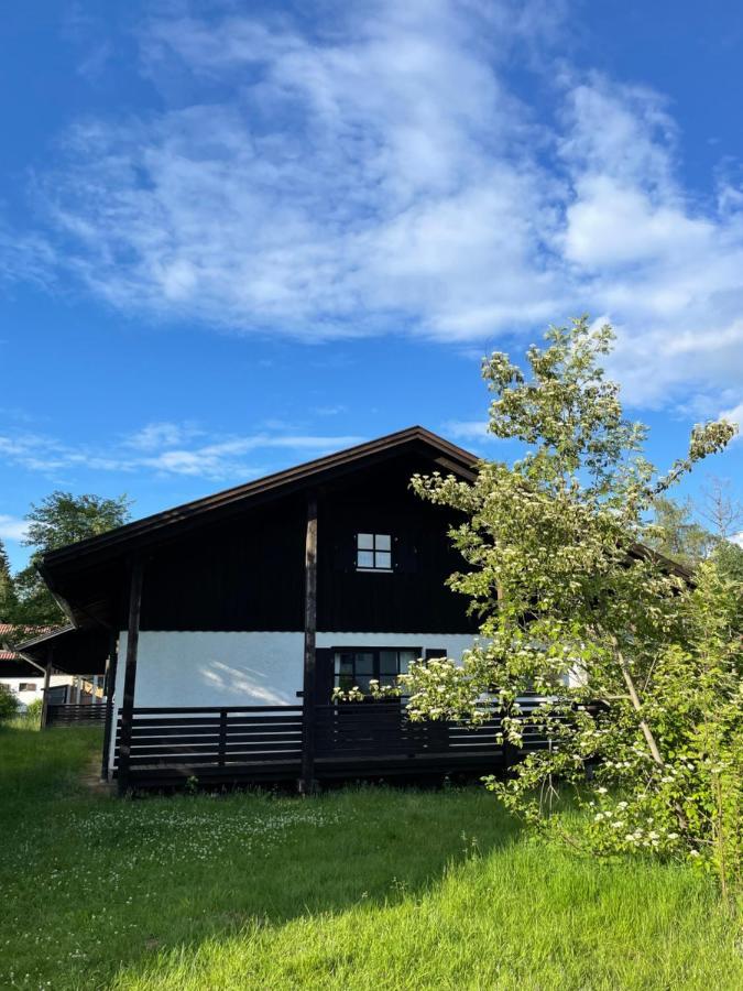 Regeneration Bayerischer Wald Holiday home Regen