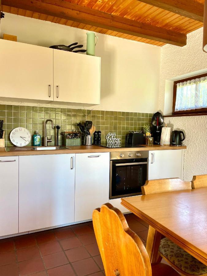 Regeneration Bayerischer Wald *