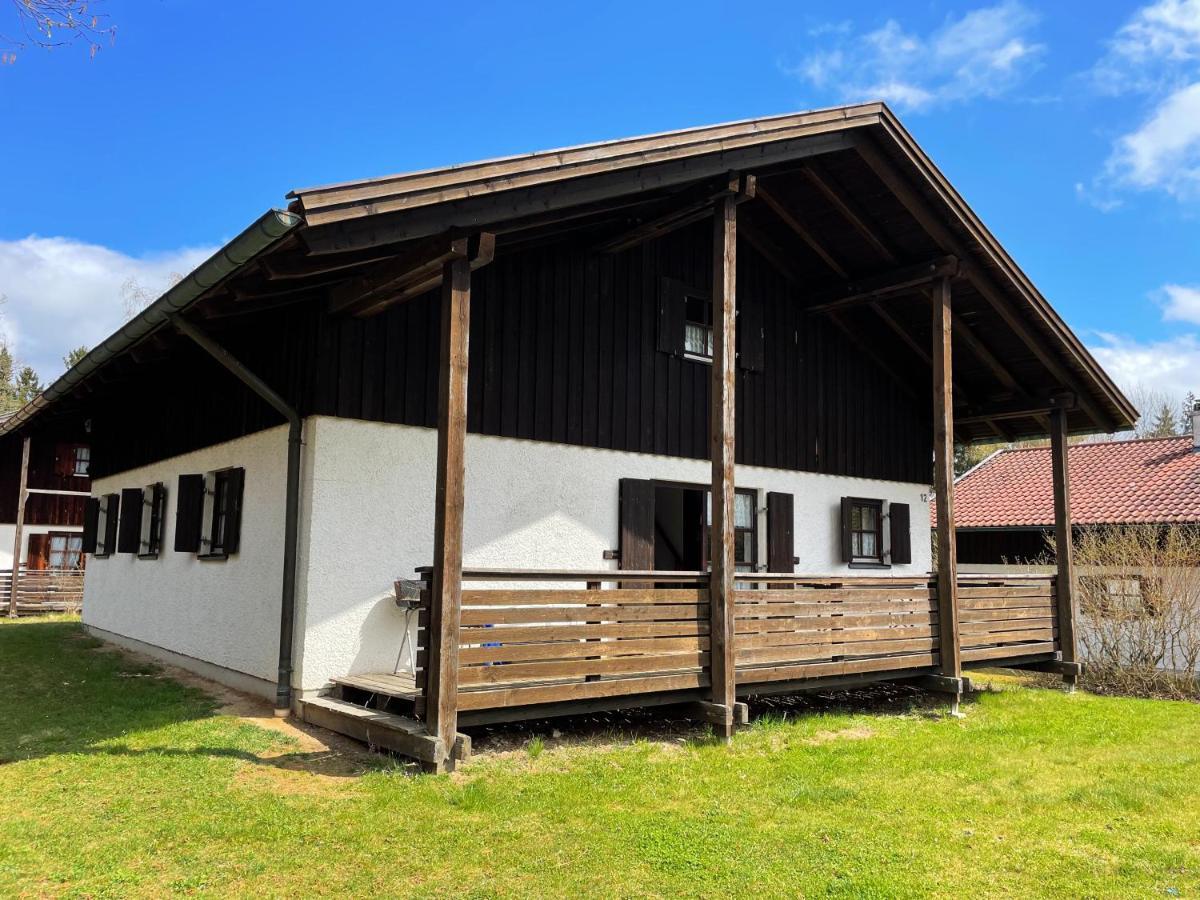 Regeneration Bayerischer Wald *