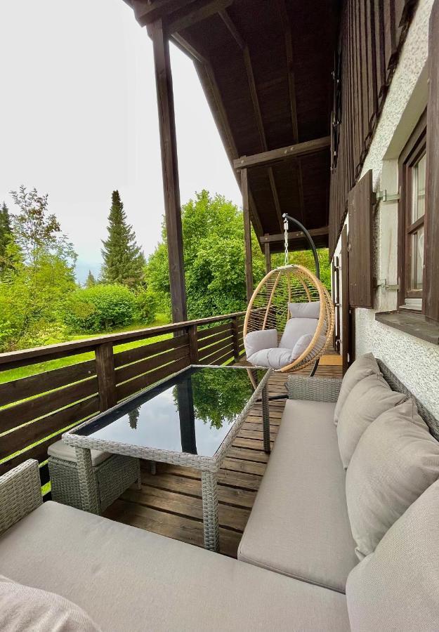 Regeneration Bayerischer Wald